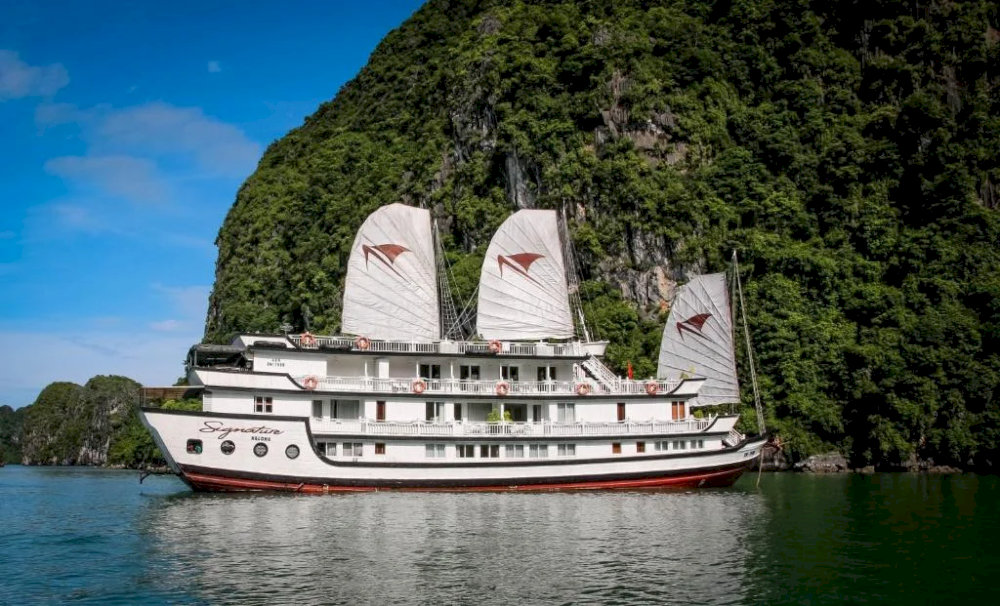 For those looking for speed, flexibility, or group travel options, several water transport services are available from Cau Da Port